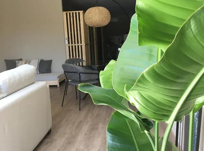 Flats 323 بورتو